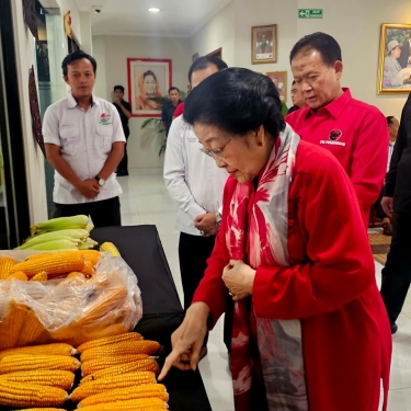 Megawati Soekarnoputri Apresiasi Kerja Kreatif GNTI yang Hasilkan Panen Jagung dengan Produktivitas Tinggi