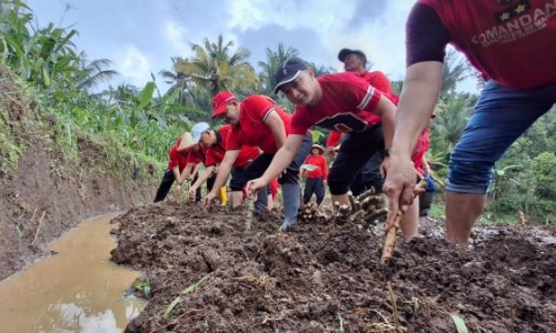 Banteng Kabupaten Semarang Tanam Tanama Pengganti Beras