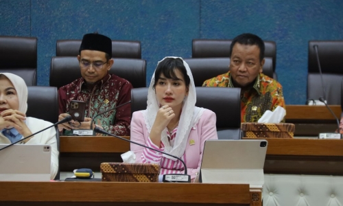 Novita Hardini Soroti Lemahnya Strategi Menteri Ekraf dalam Menarik Investasi