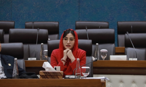 Novita Hardini Desak Kementerian Ekraf Siapkan Agenda Lebih Besar untuk Lindungi Industri Kreatif