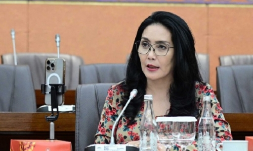 Rieke Diah Minta PT Telkom Segera Evaluasi Kerja Sama Telkomsat dengan Starlink