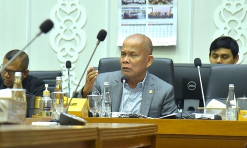 Sturman: Perlindungan Pekerja Migran di Hong Kong Bisa Jadi Contoh Penguatan RUU PPRT