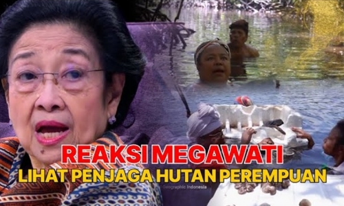 Megawati Apresiasi Perjuangan Mama Papua dalam Lindungi Mangrove, Sebut Plastik Jadi Ancaman