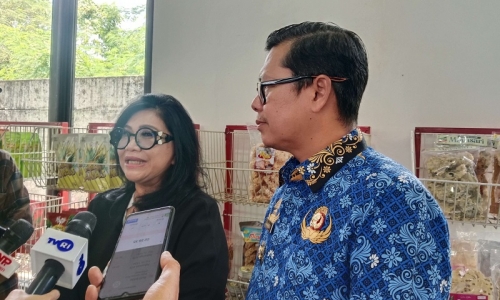 Evita Nursanty Dorong UMKM di Kabupaten Subang Naik Kelas