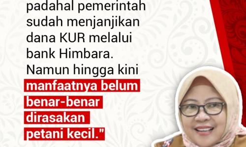 "Petani sering diarahkan ke kredit komersial, padahal..."