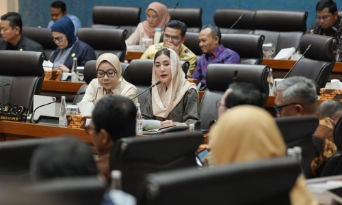 Novita Hardini Sentil Menteri Perindustrian: Hilirisasi Jangan Berhenti di Angka Ekspor