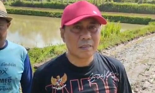 Eri Suhaeri Minta Pemerintah Hentikan Alih Fungsi Lahan