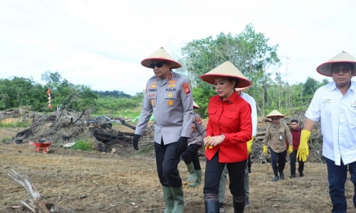 Karolin Dukung Swasembada Jagung Sebagai Upaya Kemandirian Pangan & Hilirisasi Peternakan   