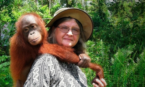 PDI Perjuangan Sampaikan Duka Cita atas Wafatnya Birute Galdikas, “Ibu Orang Utan Kalimantan”