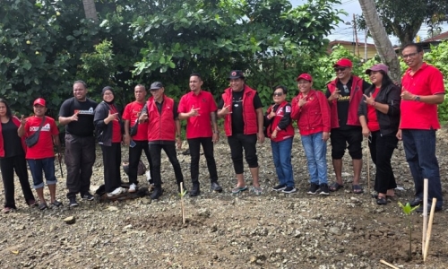 Politik Hijau, PDI Perjuangan Tanam 1.000 Bibit Mangrove di Pesisir Teluk Ambon yang Tergerus Abrasi dan Pembangunan