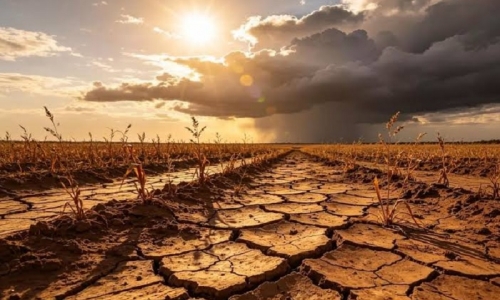 Hadapi Ancaman El Niño, Rokhmin Dahuri: Negara Harus Memanen Air Saat Musim Hujan dan Lindungi Petani