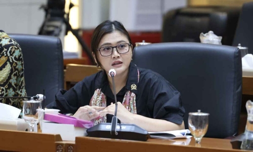 Kasus Kematian Yurizal Tri Chaerawan, Vita Ervina Desak Evaluasi Faskes dan Etika Nakes di Ruang Digital