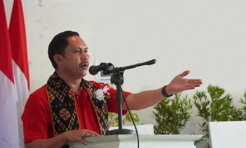 Ketua DPD PDI Perjuangan NTT Instruksikan Kader Terus Bergerak Bantu Penanganan Darurat Gempa Flores