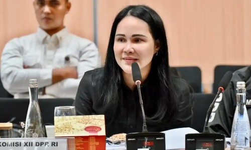 Atasi Karhutla Kalimantan, Shanty Alda Natalia Minta Pemulihan Lingkungan Jangka Panjang