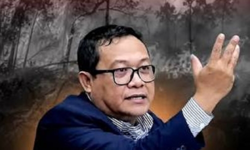 Sonny Danaparamita: Anggaran Kemenhut Belum Prioritaskan Pencegahan Karhutla