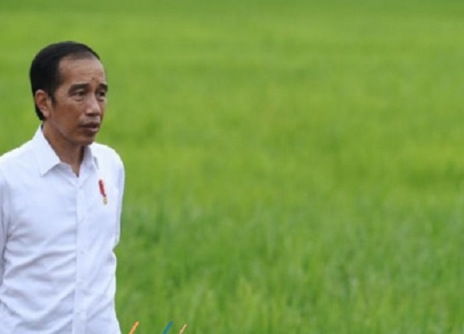Hari Tani Nasional, Jokowi: Pertanian Berkontribusi Besar 