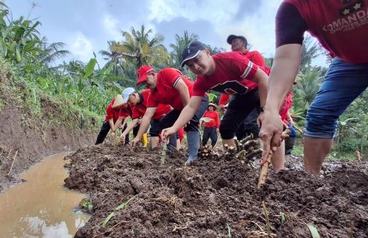 Banteng Kabupaten Semarang Tanam Tanama Pengganti Beras