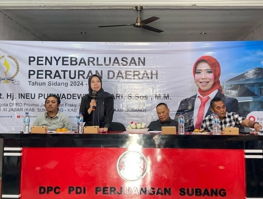 Ineu Purwadewi Dorong Pemerintah Daerah Ikut Andil Dalam Penguatan UMKM