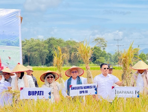 Agus Ambo Djiwa Bersama Komisi IV Panen Raya Padi Tanpa Pupuk di Agam Sumbar