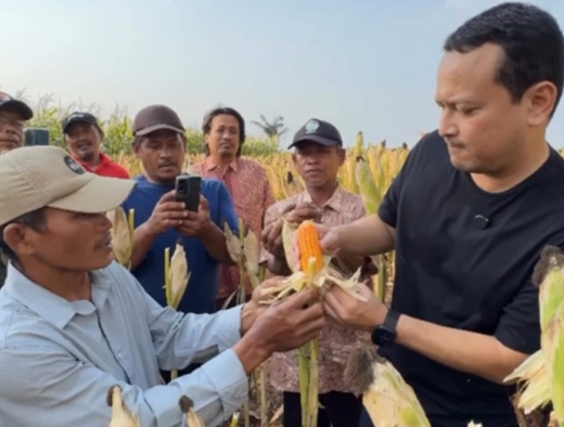 Banyu Djarot Serap Aspirasi Petani Jagung di Nganjuk, Komitmen Wujudkan Kedaulatan Pangan