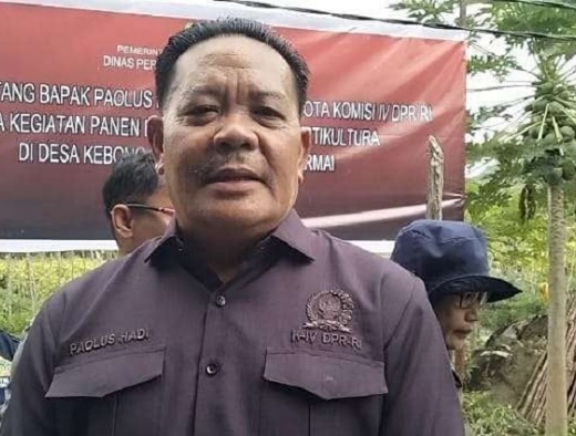 Paolus Hadi Ajak Petani Sintang Terus Semangat Berproduksi dan Jaga Kualitas Hasil Pertanian