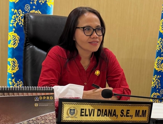 Elvi Diana: Tambang Timah Ilegal di Bukit Menumbing, Kelalaian Kolektif Para Pemangku Kepentingan