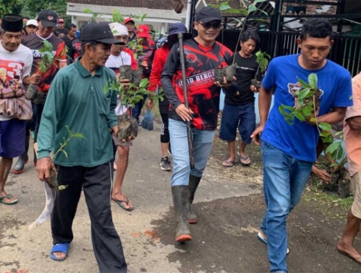 Banteng Jember Tanam 1.053 Bibit Pohon