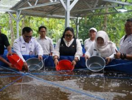 Bupati Endah Subekti Tebar Benih Lele di KDMP Genjahan Ponjong, Dukung Program MBG 