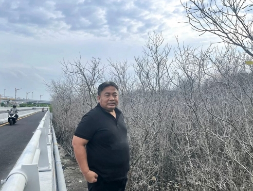Nyoman Parta Desak Pelindo Jelaskan Kematian Mendadak Ratusan Mangrove di Pesisir Bonoa