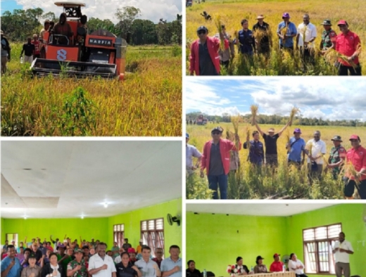 Edoardus Kaize: Jangan Lupa dengan Sagu Agar Tidak Jadikan Beras Satu-Satunya Makanan Harian