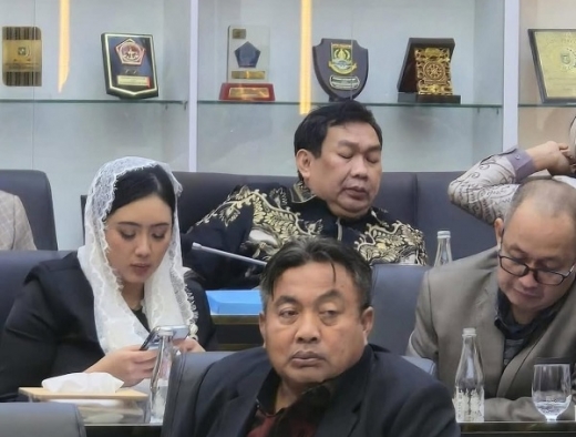 Nyoman Parta Tekankan Pentingnya Pengaturan Batas Usia Dalam RUU PPRT