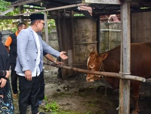Sujiwo Apresiasi Kekompakan OPD Kubu Raya Kumpulkan 29 Hewan Kurban