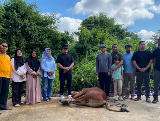Sapi Kurban Presiden dari Peternak Lokal, Sujiwo: Ini Bukti Kualitas Ternak Kubu Raya Diakui Nasional