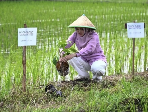 Sarifah Ainun Jariyah Inisiasi Program Mega Tani Dukung Kedaulatan dan Diversifikasi Pangan Lokal