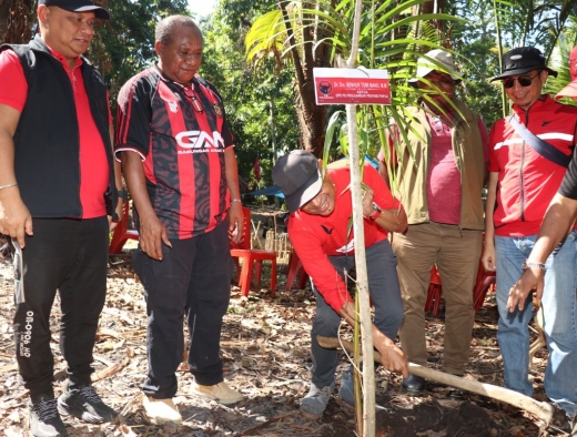 Jaga Ketahanan Pangan Lokal, DPD PDI Perjuangan Papua Tanam Sagu di Jayapura