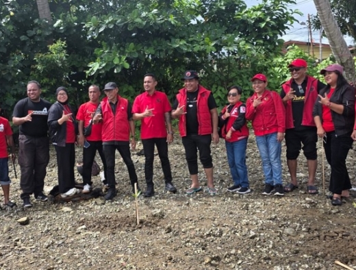 Politik Hijau, PDI Perjuangan Tanam 1.000 Bibit Mangrove di Pesisir Teluk Ambon yang Tergerus Abrasi dan Pembangunan