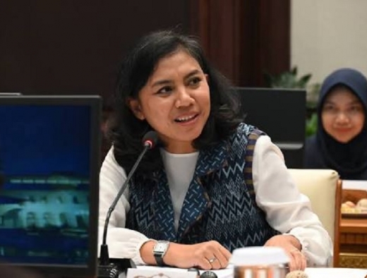 Irine Roba Tekankan Green Transport, Perlindungan Disabilitas, Skema Subsidi Dalam Transportasi Publik