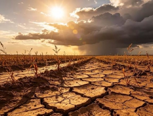 Hadapi Ancaman El Niño, Rokhmin Dahuri: Negara Harus Memanen Air Saat Musim Hujan dan Lindungi Petani