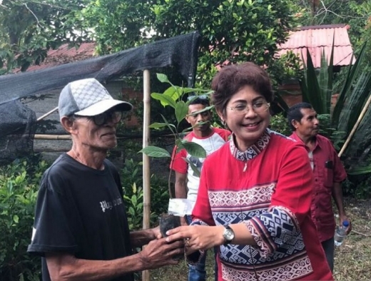 Dukung Kebun Rakyat, Mercy Barends Serahkan 3.000 Bibit Rempah ke Petani di Leihitu Barat, Maluku Tengah