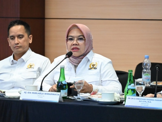 Ida Nurlaela Dorong BUMN Kembangkan Energi Panas Bumi Untuk Listrik