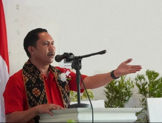 Ketua DPD PDI Perjuangan NTT Instruksikan Kader Terus Bergerak Bantu Penanganan Darurat Gempa Flores