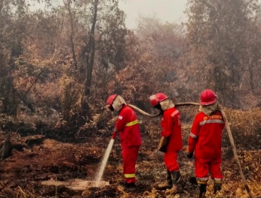 Sonny Danaparamita Desak Kemenhut Cabut Izin Perusahaan di Tengah Karhutla Kalimantan