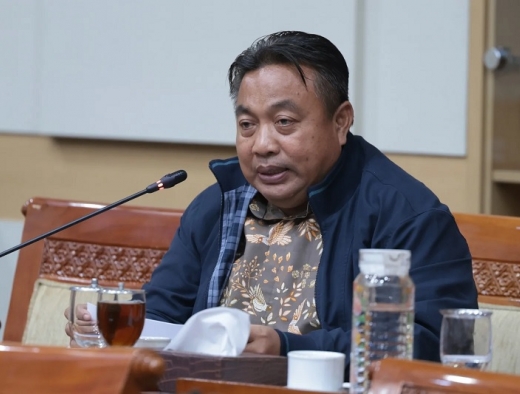 Konflik Agraria, I Nyoman Parta Dorong RUU Reforma Agraria Berpijak Pada UUPA 1960