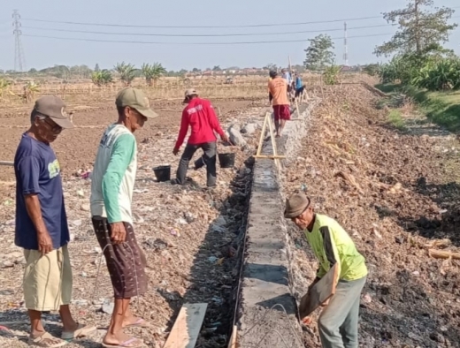 Atasi Banjir Menahun di Kemurang Kulon, Shanty Alda Gandeng PLN Bangun Infrastruktur Irigasi