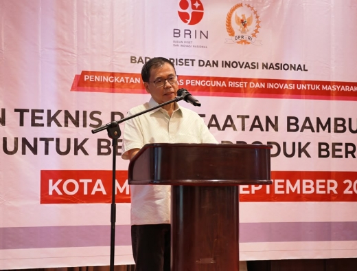 Bukan Sekadar Tanaman Biasa, Sofyan Tan Ungkap Bambu Sebagai Warisan Ekonomi Masa Depan