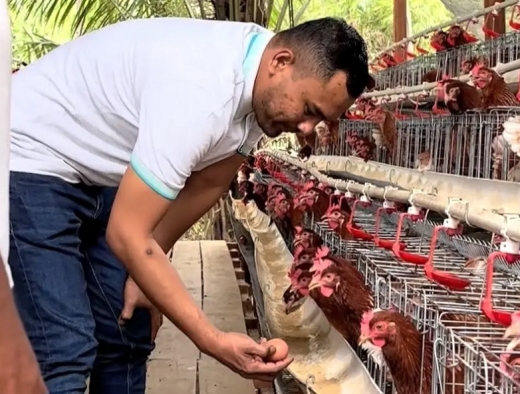 Jamaluddin Idham Salurkan Bantuan Ayam Petelur Bagi Kelompok Tani di Sejumlah Daerah Aceh