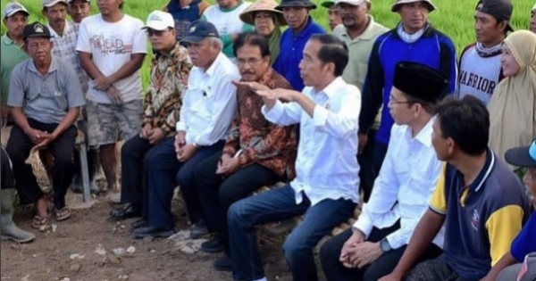 sepatu jokowi nah