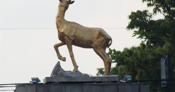 Kijang Kencana Mas, Icon Paling Cocok Untuk Indramayu