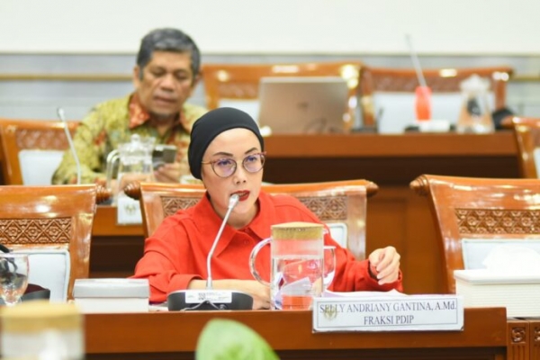 Selly Gantina Tegaskan Pentingnya Jaminan Sosial dalam RUU PPRT