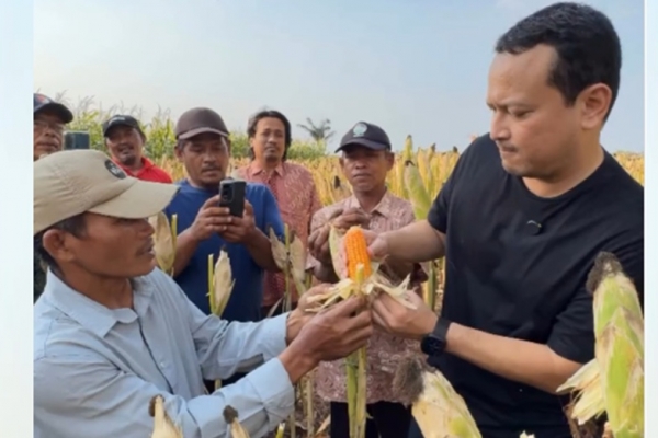 Banyu Djarot Serap Aspirasi Petani Jagung di Nganjuk, Komitmen Wujudkan Kedaulatan Pangan